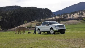 Ford F-150 King Ranch - władca prerii