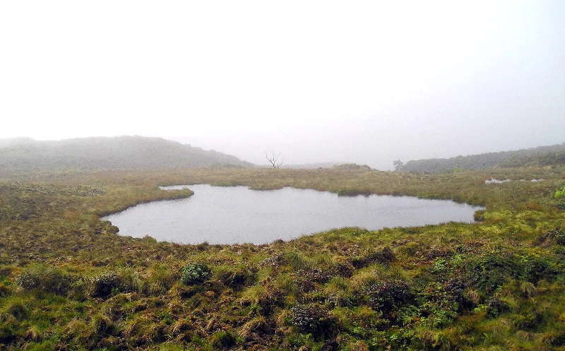 Mount Waialeale - tam "ciągle pada"