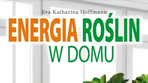 Energia roślin w domu