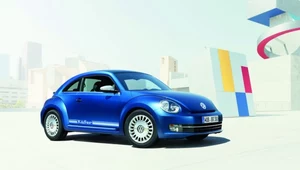 Zmiksowany Volkswagen Beetle