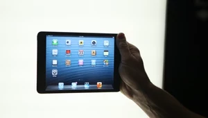 Sinofsky: iPad mini to tablet rekreacyjny