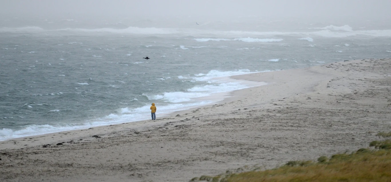Plaża przed huraganem
