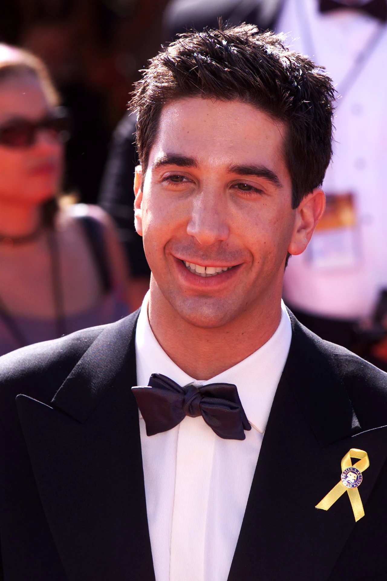 David Schwimmer - Ross Geller z serialu "Przyjaciele" David Schwimmer - Ross Geller z serialu "Przyjaciele"