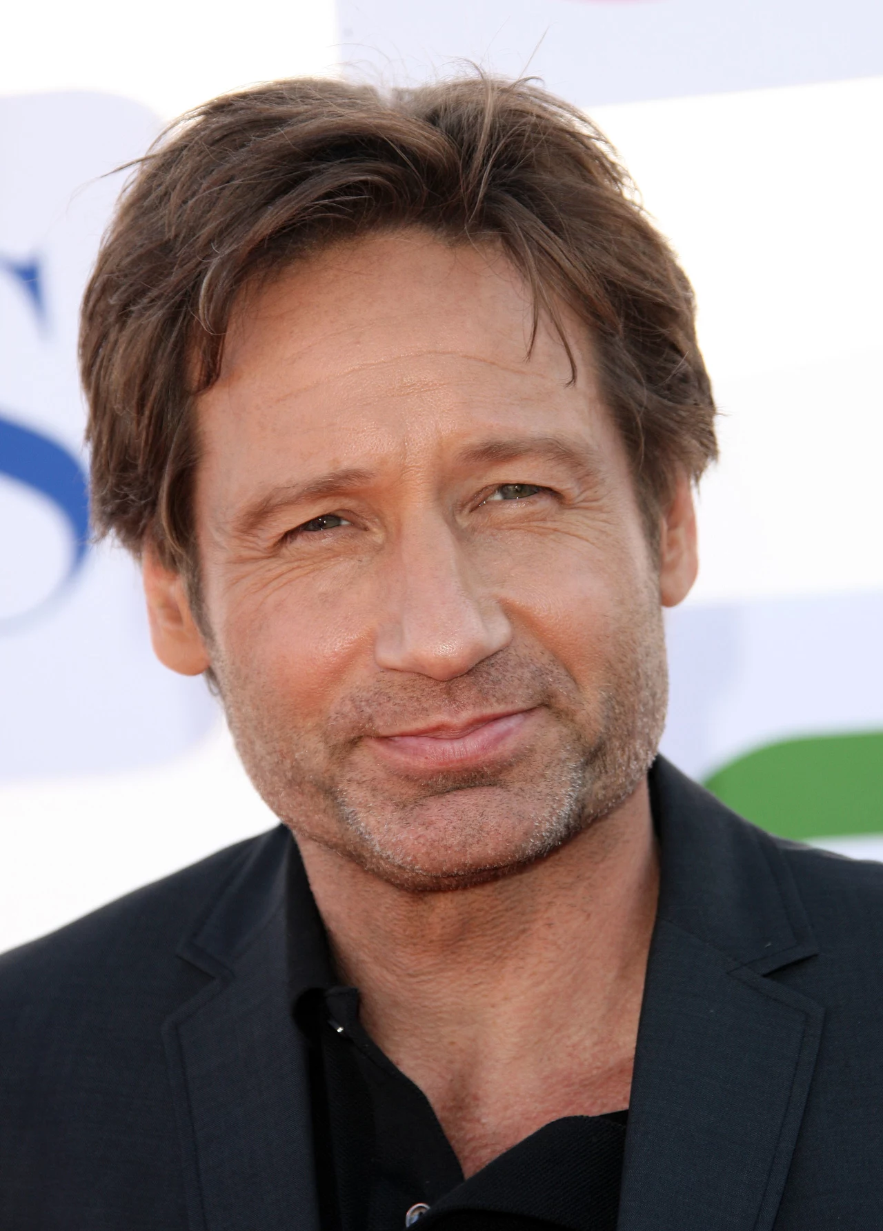 David Duchowny - Fox Mulder z "Archiwum X" David Duchowny - Fox Mulder z "Archiwum X"