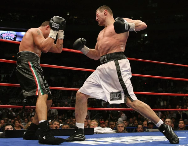 Andrzej Gołota vs Mike Mollo