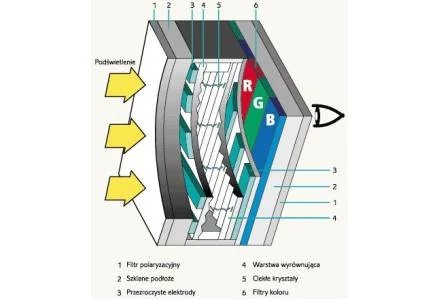 Budowa wyświetlacza LCD