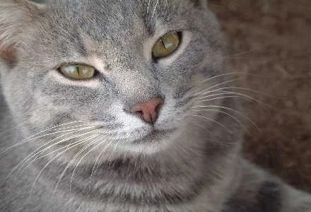 Madison Crawley Madison Crawley