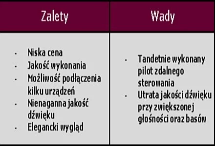 Wady i Zalety