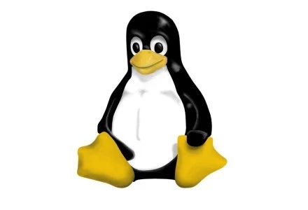 Fundacja Linux kontra Solaris