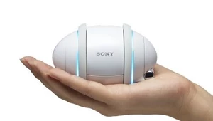 Sony Rolly - taniec z robotami