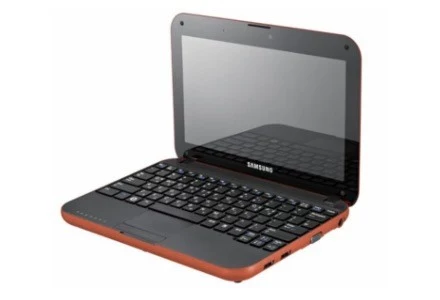 Netbook N310