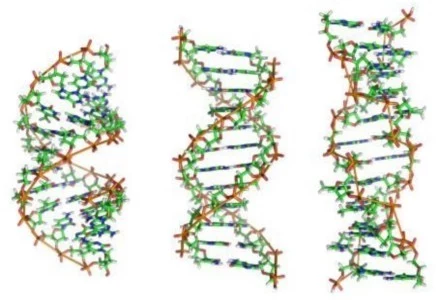 Komputerowe DNA    fot. Richard Wheeler