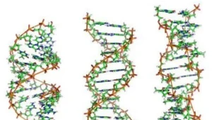 Komputerowe DNA    fot. Richard Wheeler