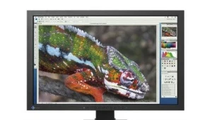Eizo S2243W