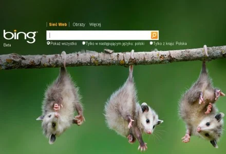 Czyżby wyszukiwarka Microsoftu osiągnęła już maksimum swoich możliwości? Czyżby wyszukiwarka Microsoftu osiągnęła już maksimum swoich możliwości?