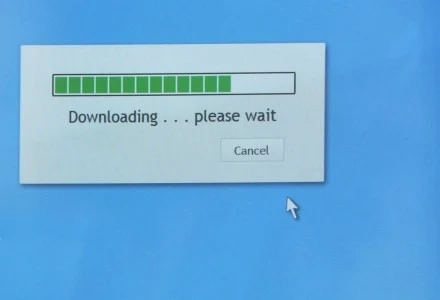 fot. Ariel da Silva Parreira fot. Ariel da Silva Parreira