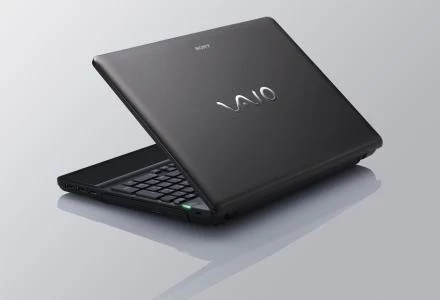 VAIO E