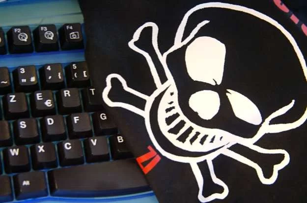 Ukraiński cyberprzestępca wpadł podczas wakacji w Indiach Ukraiński cyberprzestępca wpadł podczas wakacji w Indiach