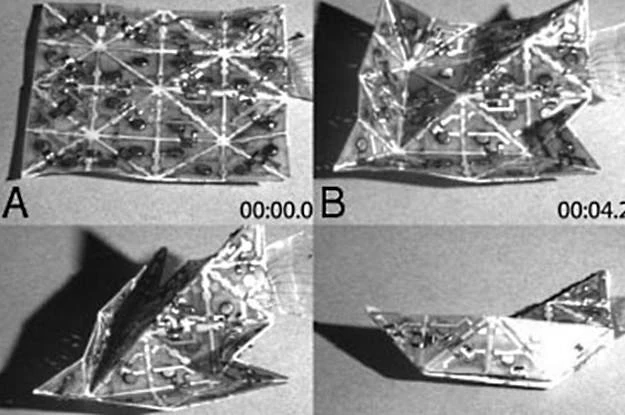 Ten materiał może teoretycznie zrewolucjonizować produkcję  fot. Harvard University