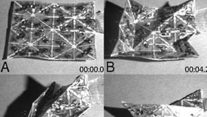 Ten materiał może teoretycznie zrewolucjonizować produkcję  fot. Harvard University