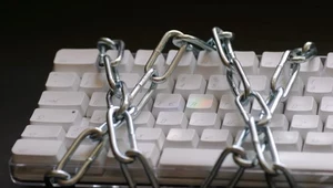 Cyberprzestępcy wykorzystują Wikipedię do oszukiwania internautów  fot. Armin Hanisch