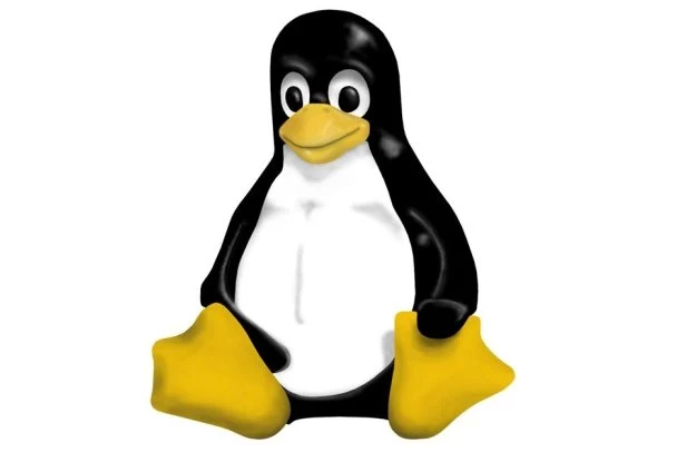 Finalna wersja jądra Linux 2.6.36 powinna być gotowa jeszcze w październiku tego roku