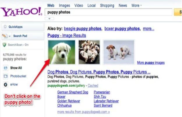 Wynik po wpisaniu "puppy photos". Za zdjęciem kryła się pornografia. fot. TechCrunch