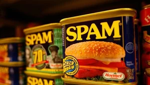 Okzauje się, że na spamie zarabiać mogą nie tylko jego twórcy, ale i ofiary