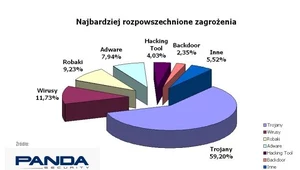 Najbardziej rozpowszechnione zagrożenia wg. Pandy