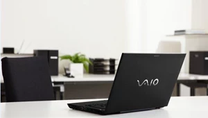 VAIO S