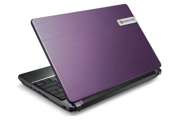 Packard Bell dot s - wersja różowa