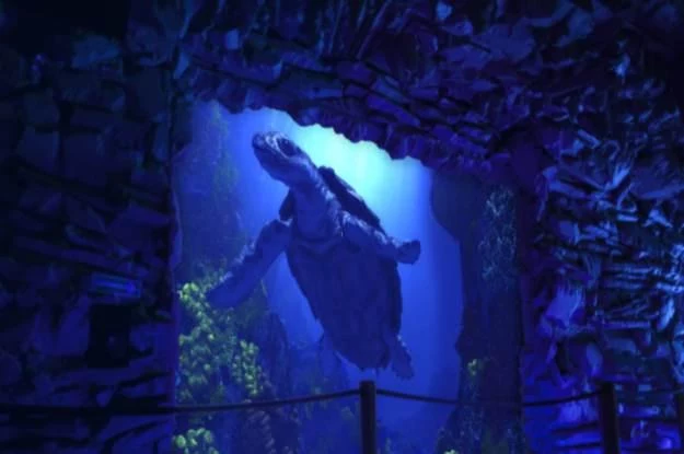 Prehistoryczne Oceanarium trafi do miejscowości Ochaby na Śląsku