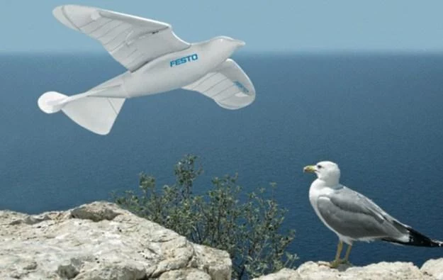 SmartBird - robot wzorowany na mewie srebrzystej