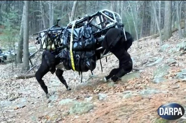 Mechaniczny muł do transportowania ciężkiego wyposażenia.    Fot. DARPA