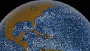 NASA prezentuje niesamowitą mapę prądów oceanicznych