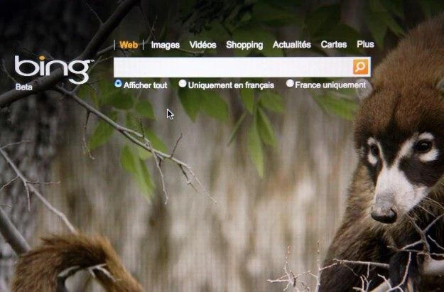 Bing ma się stać dużo bardziej społecznościowy Bing ma się stać dużo bardziej społecznościowy