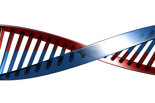 W internecie jest znacznie więcej miejsca na dane z DNA (Fot. Flavio Takemoto) W internecie jest znacznie więcej miejsca na dane z DNA (Fot. Flavio Takemoto)