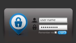 Hasła internautów są łakomym kąskiem dla cyberprzestępców