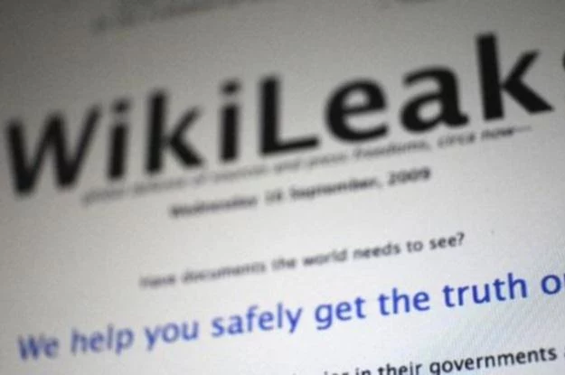 Portal WikiLeaks stał się celem ataków