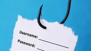 Phishing jest głównie narzędziem do kradzieży danych