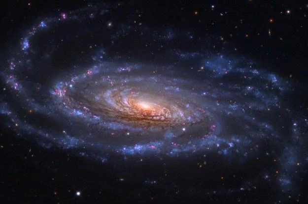 Galaktyka spiralna NGC 5033