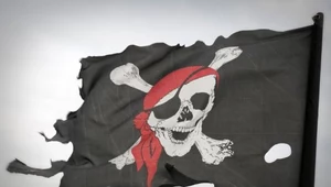 Żaden nalot nie zaszkodzi już The Pirate Bay