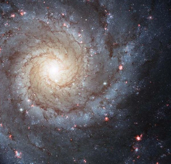 Galaktyka spiralna M74 (Messier 74), zawierająca bogate środowisko formowania gwiazd. Jest ona nieco mniejsza od naszej Drogi Mlecznej. Galaktyka spiralna M74 (Messier 74), zawierająca bogate środowisko formowania gwiazd. Jest ona nieco mniejsza od naszej Drogi Mlecznej.