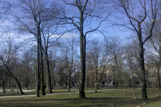 Zdjęcie wykonane Milestone. Fotki są dobre, ale można mieć drobne (naprawdę drobne) zastrzeżenia