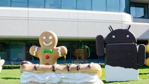 Android 4.1 Jelly Bean dla 15 urządzeń Samsunga