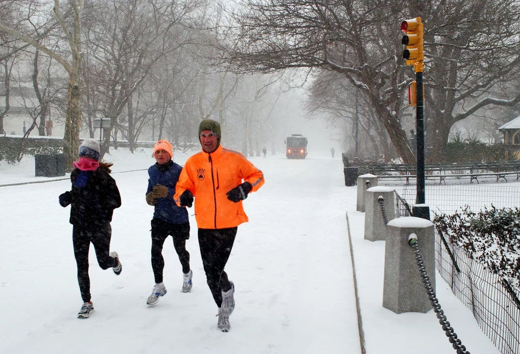 Zimowy Nowy Jork - Central Park