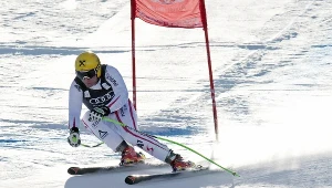 Max Franz