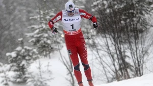 Petter Northug