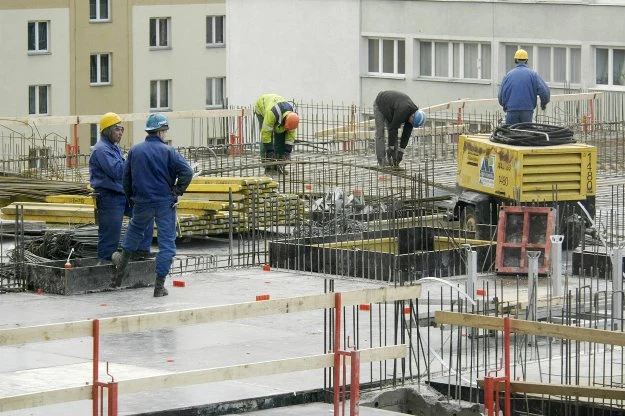 Firmy, które uzyskają pozytywną ocenę, otrzymają świadectwo udziału w programie Firmy, które uzyskają pozytywną ocenę, otrzymają świadectwo udziału w programie