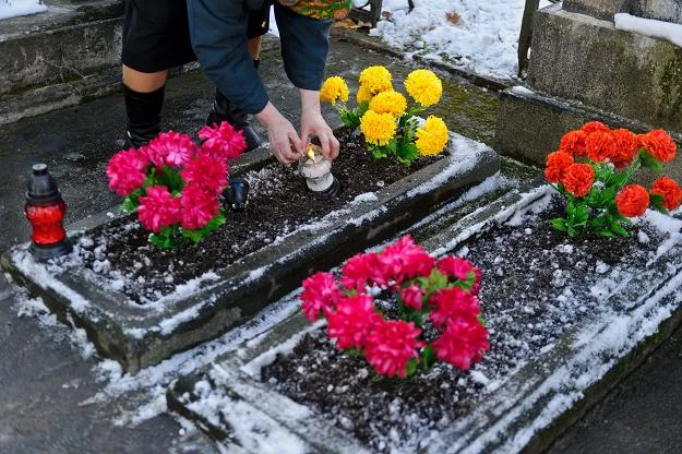 Najpopularniejszą usługą, związaną ściśle z dniem Wszystkich Świętych, jest sprzątanie grobów